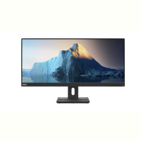 LENOVO E29w-20