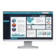 EIZO FlexScan EV2490 White (EV2490-WT)