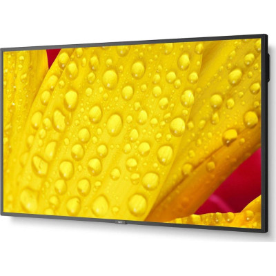 NEC MultiSync ME651 (60005062)