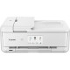 Canon PIXMA TS9540 + Wi-Fi (2988C007)