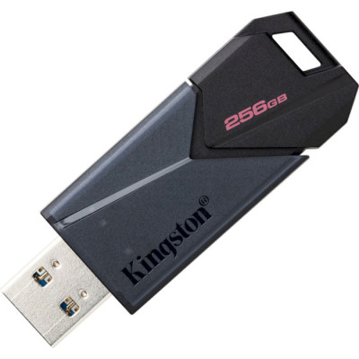 Kingston 256 GB DataTraveler Exodia Onyx USB 3.2 Gen 1 Black (DTXON/256GB)