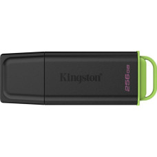 Kingston 256 GB DataTraveler Exodia G2 (DTXG2/256GB)