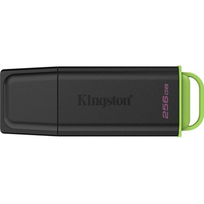 Kingston 256 GB DataTraveler Exodia G2 (DTXG2/256GB)