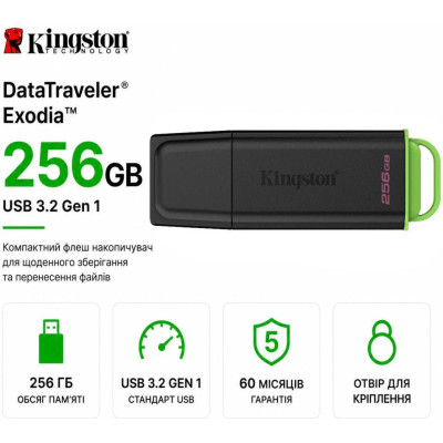 Kingston 256 GB DataTraveler Exodia G2 (DTXG2/256GB)
