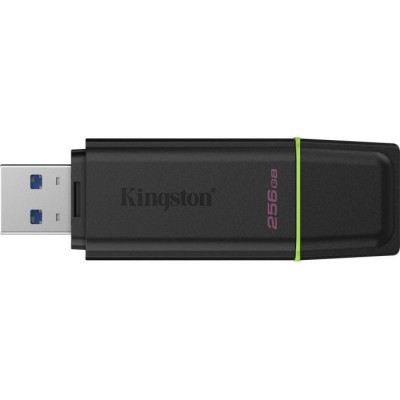 Kingston 256 GB DataTraveler Exodia G2 (DTXG2/256GB)