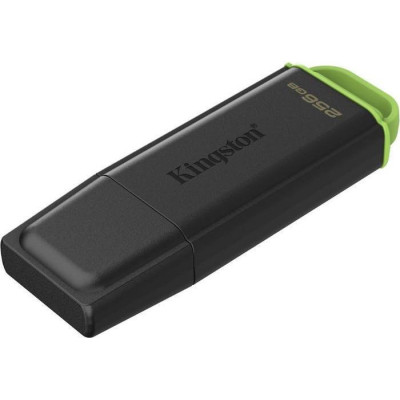 Kingston 256 GB DataTraveler Exodia G2 (DTXG2/256GB)