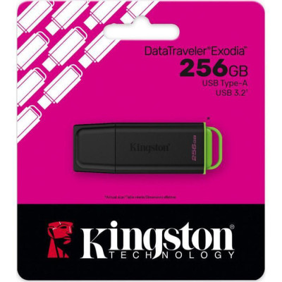 Kingston 256 GB DataTraveler Exodia G2 (DTXG2/256GB)
