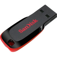 SanDisk 32 GB Cruzer Blade USB 2.0 Pink (SDCZ50C-032G-B35PE)