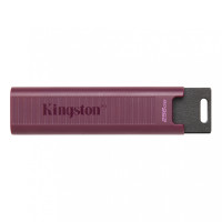 Kingston 256 GB DataTraveler Max USB 3.2 Gen 2 (DTMAXA/256GB)