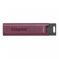 Kingston 256 GB DataTraveler Max USB 3.2 Gen 2 (DTMAXA/256GB)