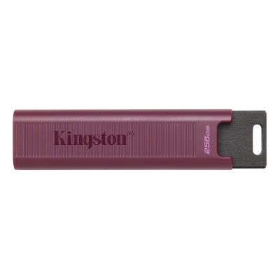 Kingston 256 GB DataTraveler Max USB 3.2 Gen 2 (DTMAXA/256GB)