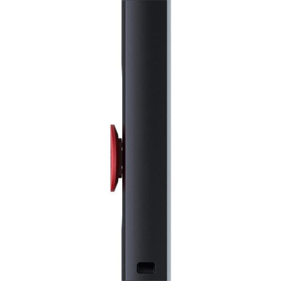 Lexar 256 GB JumpDrive Dual Drive D300 (LJDD300256G-BNBNG)