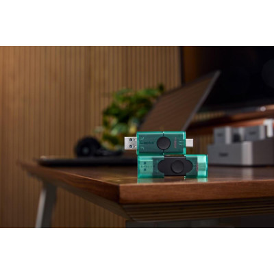 Kingston 256 GB DataTraveler Duo Green