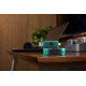 Kingston 256 GB DataTraveler Duo Green