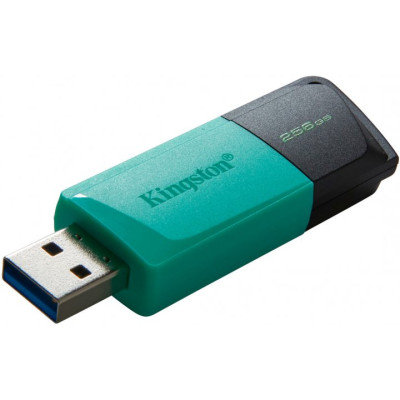Kingston 256 GB DataTraveler Exodia M USB 3.2 Teal (DTXM/256GB)
