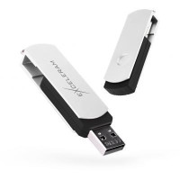 Exceleram 16 GB P2 Series White/Black USB 2.0 (EXP2U2WH2B16)