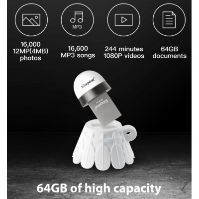Kingston 64 GB Limited Edition Badminton (DTBMTA/64GB)