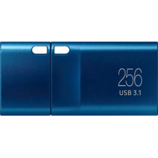 Samsung 256 GB Type-C Blue (MUF-256DA/APC)