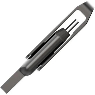 Lexar 256 GB JumpDrive Dual Drive D400 (LJDD400256G-BNQNG)