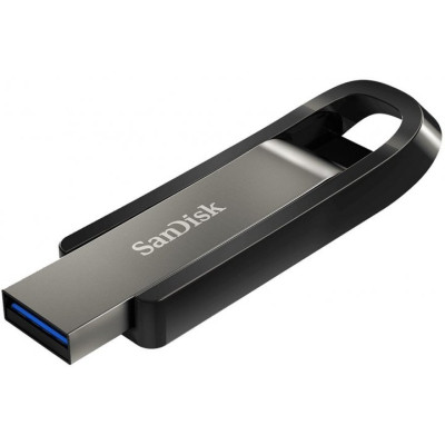 SanDisk 256 GB Extreme Go (SDCZ810-256G-G46)