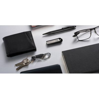 SanDisk 256 GB Extreme Go (SDCZ810-256G-G46)