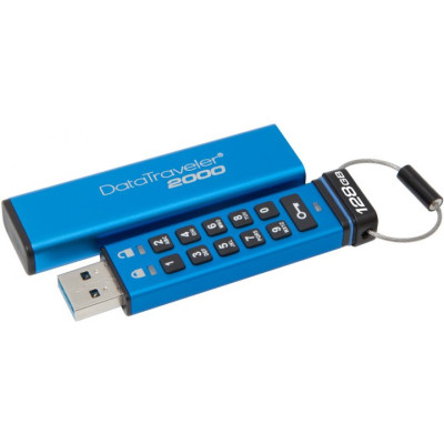 Kingston 128 GB DataTraveler 2000 (DT2000/128GB)