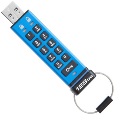 Kingston 128 GB DataTraveler 2000 (DT2000/128GB)