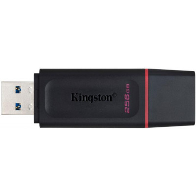 Kingston 256 GB DataTraveler Exodia USB 3.2 Gen 1 Black/Pink (DTX/256GB)