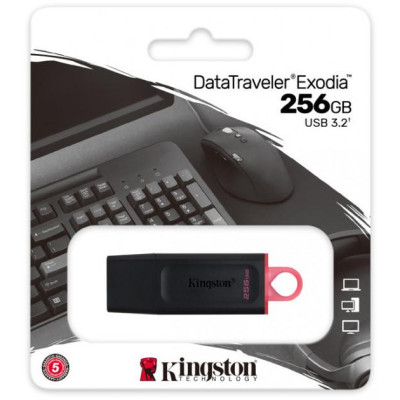 Kingston 256 GB DataTraveler Exodia USB 3.2 Gen 1 Black/Pink (DTX/256GB)