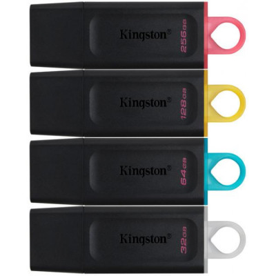 Kingston 256 GB DataTraveler Exodia USB 3.2 Gen 1 Black/Pink (DTX/256GB)