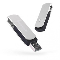 Exceleram 64 GB P2 Series Silver/Black USB 2.0 (EXP2U2SIB64)