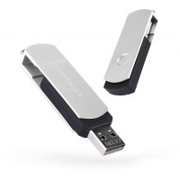 Exceleram 32 GB P2 Series Silver/Black USB 2.0 (EXP2U2SIB32)