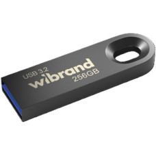 Wibrand 256 GB Eagle USB3.2 Gray (WI3.2/EA256U10G)