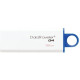 Kingston 16 GB DataTraveler G4 DTIG4/16GB