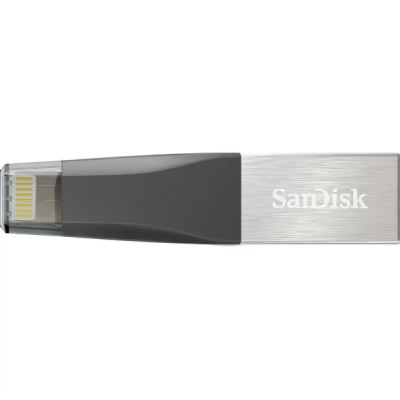 SanDisk 32 GB iXpand Mini (SDIX40N-032G-GN6NN)