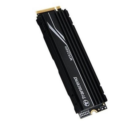 Transcend MTE250H 1TB (TS1TMTE250H)