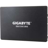 Gigabyte 1Tb (GP-GSTFS31100TNTD)