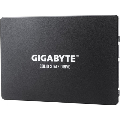 Gigabyte 1Tb (GP-GSTFS31100TNTD)