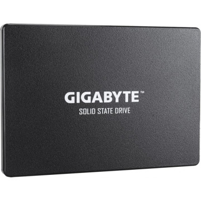 Gigabyte 1Tb (GP-GSTFS31100TNTD)