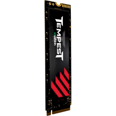 Mushkin Tempest 256GB (MKNSSDTS256GB-D8)