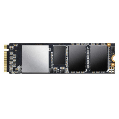 ADATA XPG SX6000 Pro 256 GB (ASX6000PNP-256GT-C)