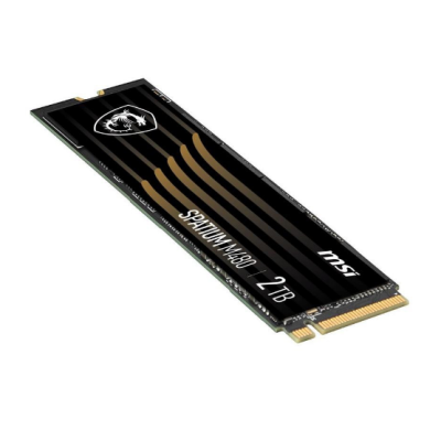 MSI Spatium M480 2 TB (S78-440Q150-P83)