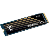 MSI Spatium M450 1TB (S78-440L920-P83)