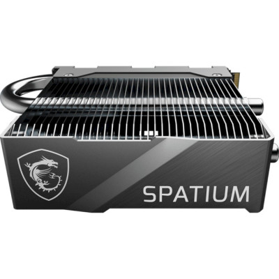 MSI Spatium M570 Pro 2 TB (S78-440Q670-P83)