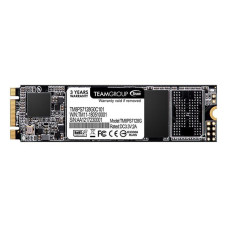 TEAM MS30 128 GB (TM8PS7128G0C101)