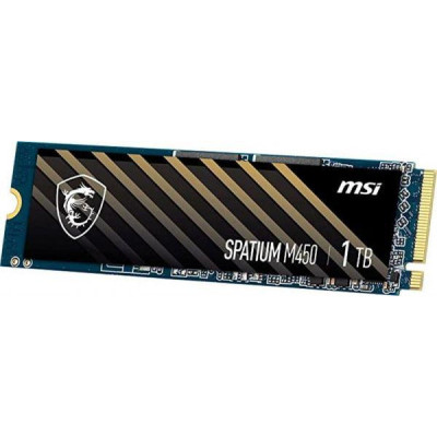 MSI Spatium M450 1TB (S78-440L980-P83)