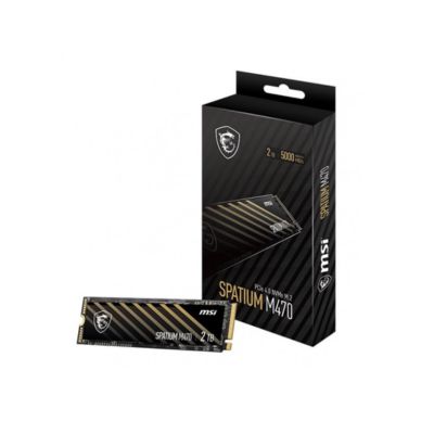 MSI Spatium M470 2TB (S78-440Q470-P83)