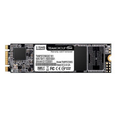 TEAM MS30 256 GB (TM8PS7256G0C101)