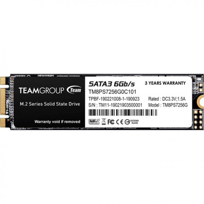 TEAM MS30 256 GB (TM8PS7256G0C101)