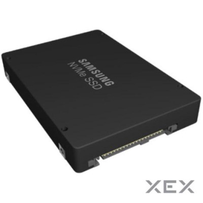 Samsung PM9A3 960 GB (MZQL2960HCJR-00A07)